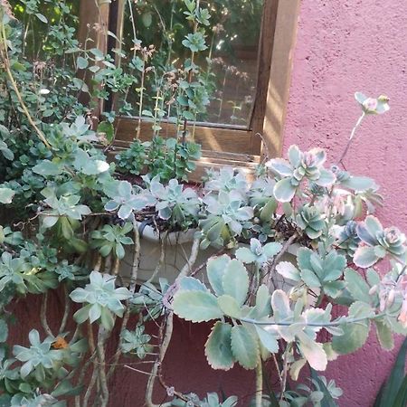 Willa Casa Na Ilha Da Magia Florianópolis Zewnętrze zdjęcie